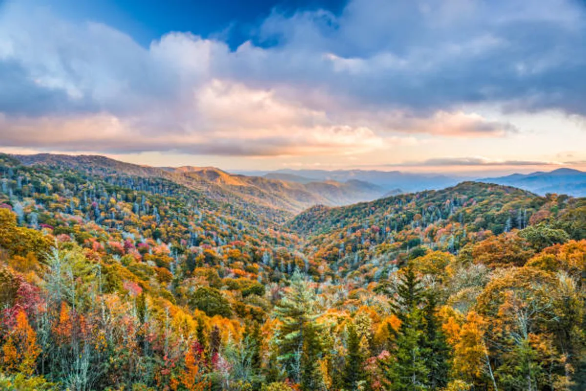 A panoramic view of a mountain range with vibrant fall foliage and dramatic clouds overhead. The scene conveys a sense of awe and serenity, inviting viewers to imagine themselves exploring scenic trails or simply soaking in the grandeur of the Great Smoky Mountains.